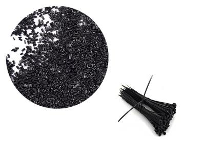 2023年第三十屆色母粒行業(yè)學(xué)術(shù)交流會(huì)圓滿落幕?。?！